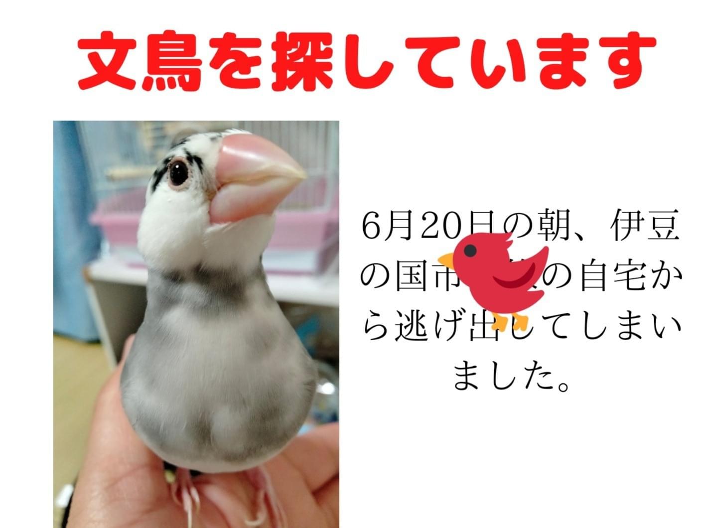 すずちゃん すずちゃん