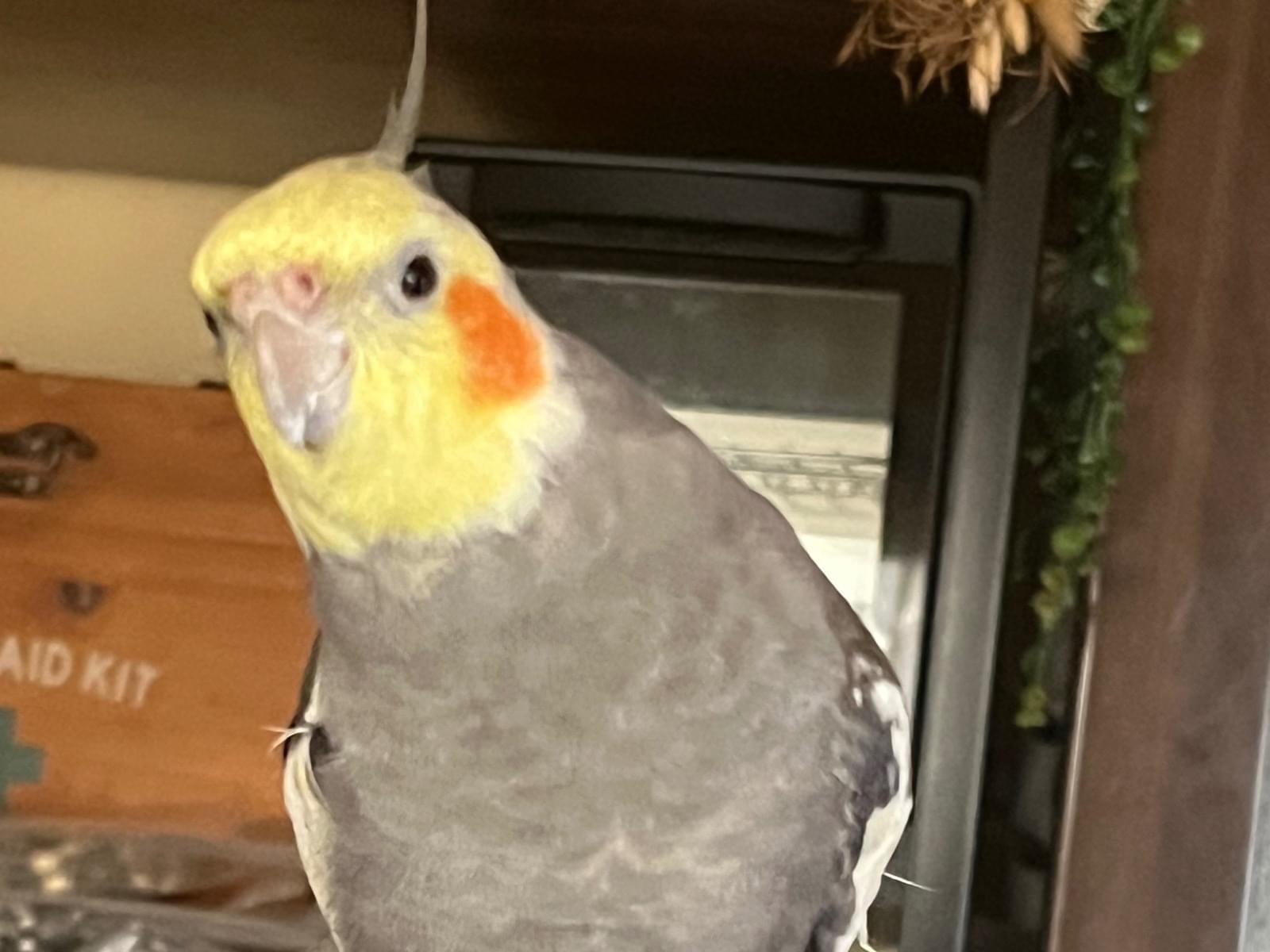 メルちゃん メルちゃん