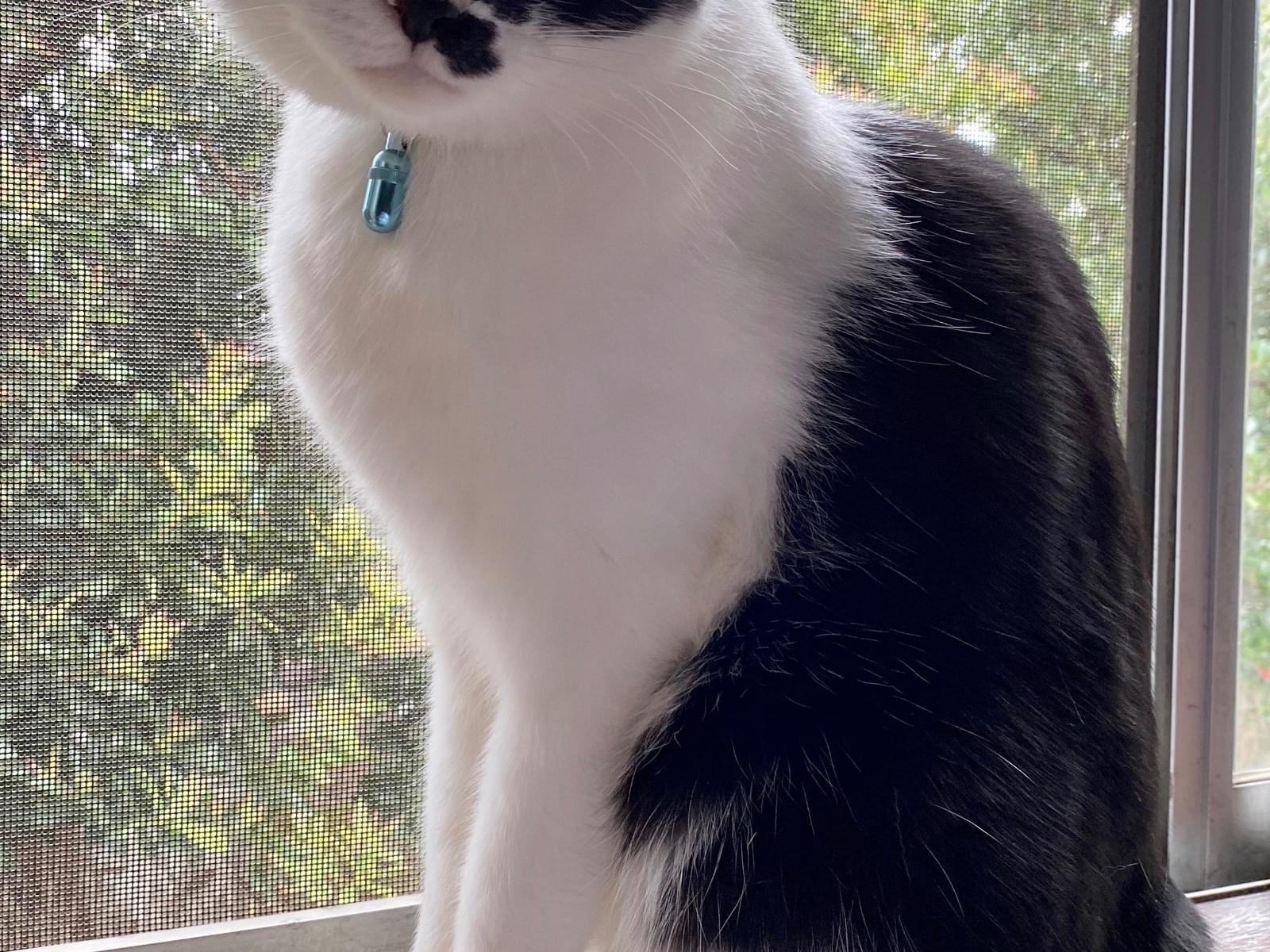 こうちゃん こうちゃん