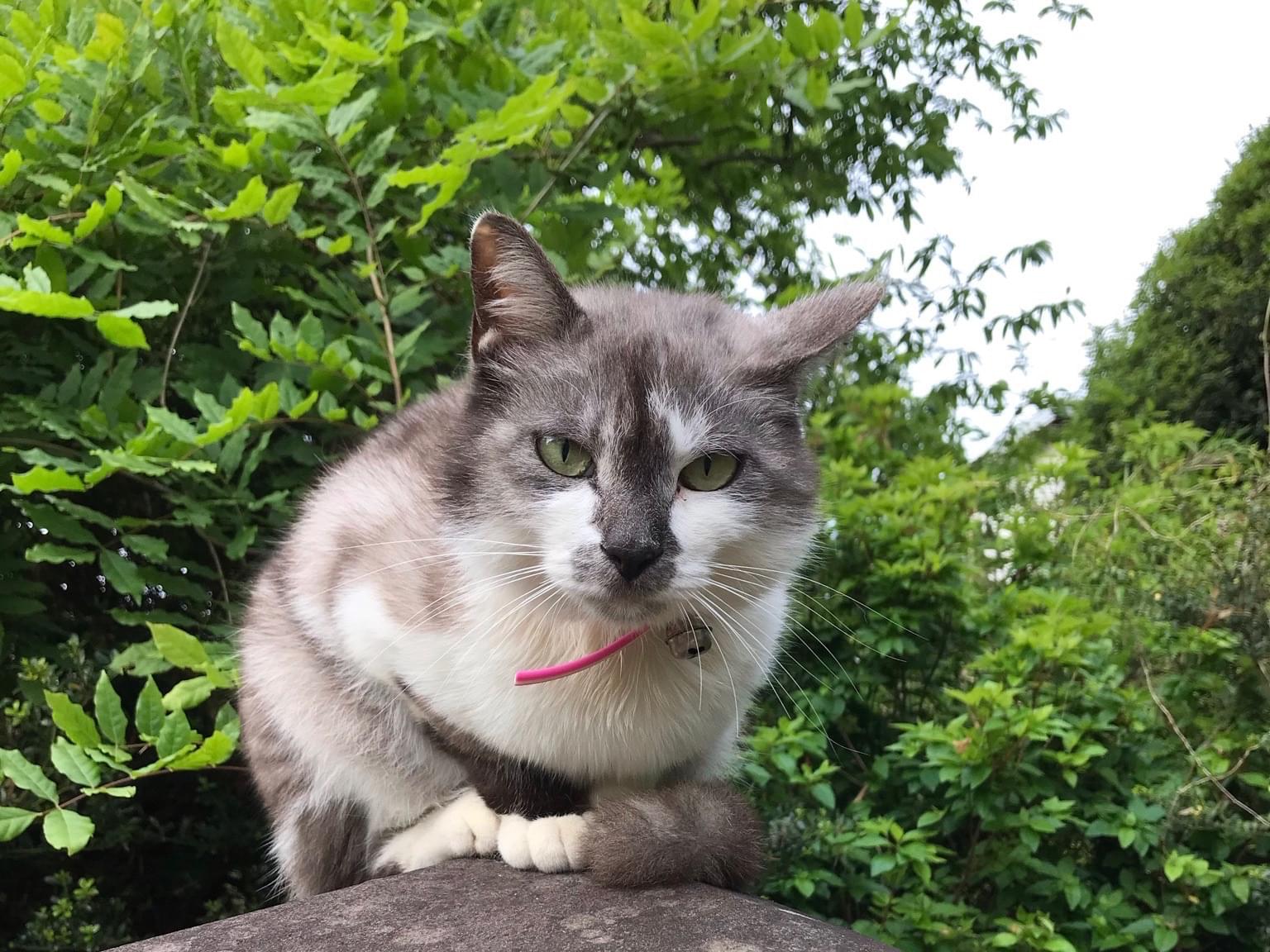 まるちゃん まるちゃん