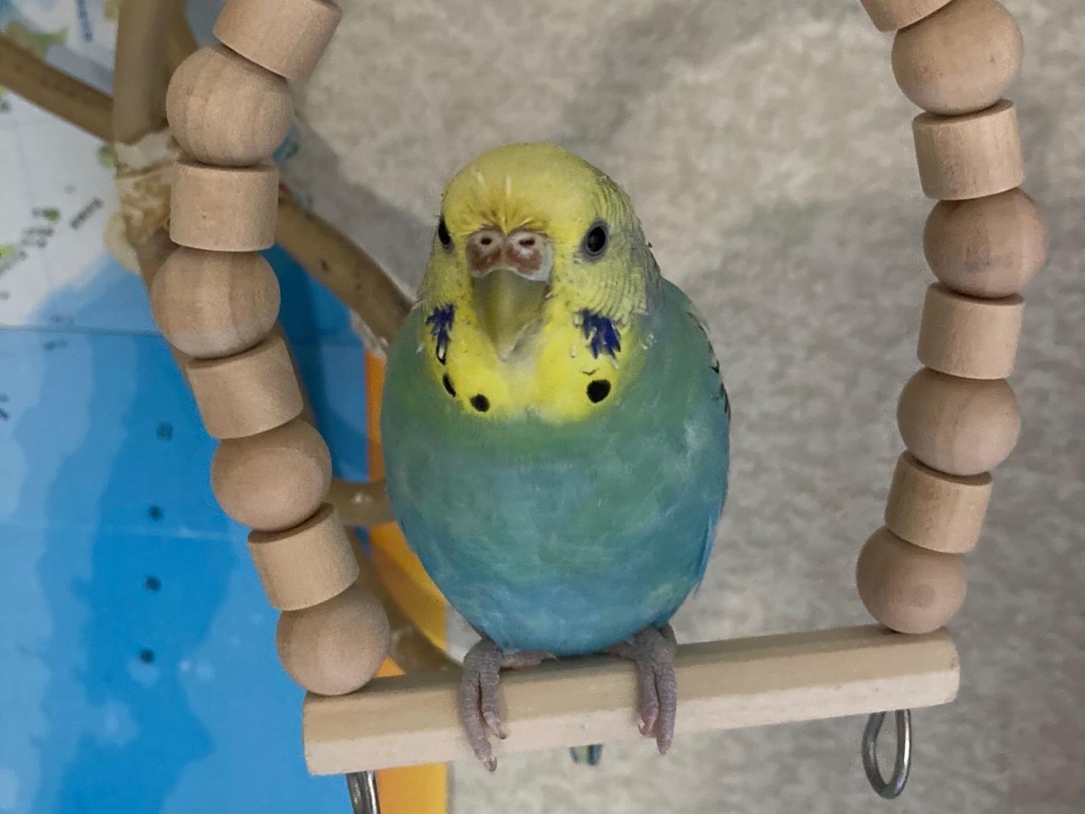 くーちゃん くーちゃん