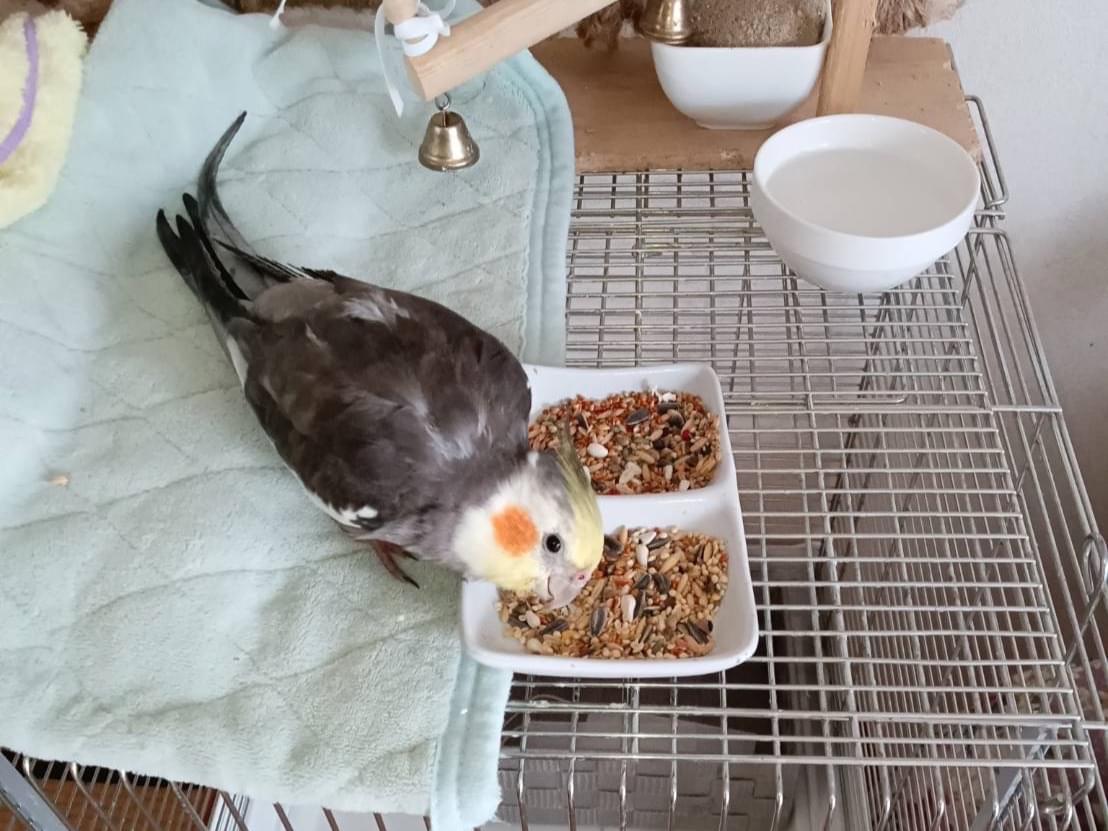 クーちゃん クーちゃん