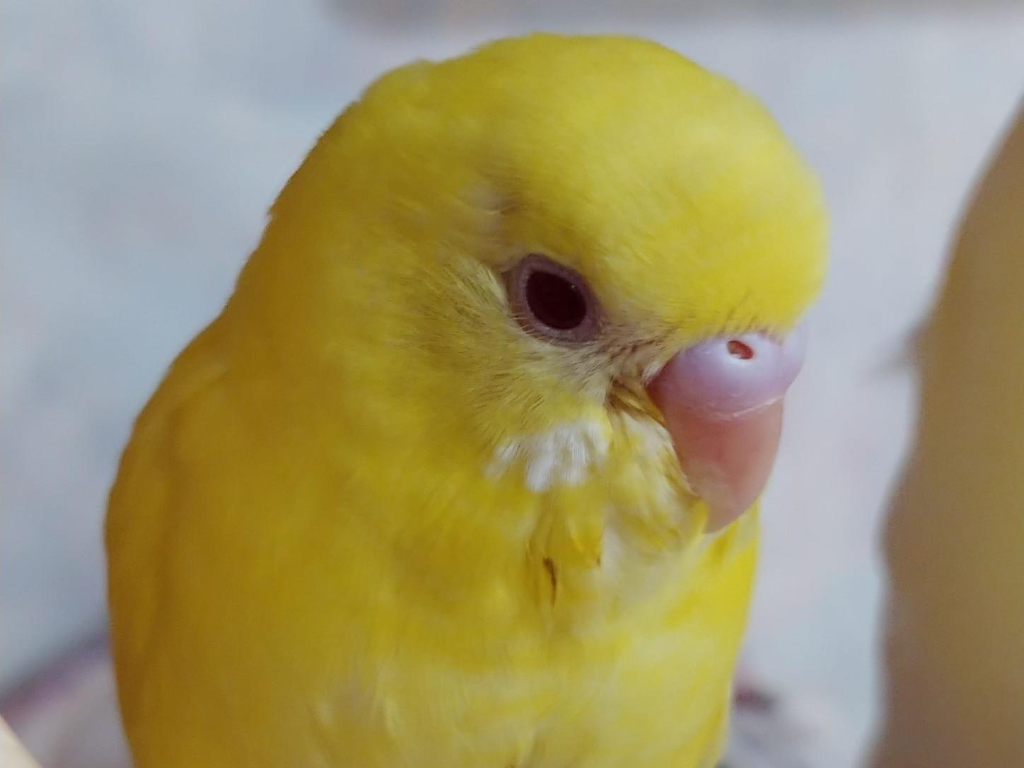 エメちゃん エメちゃん