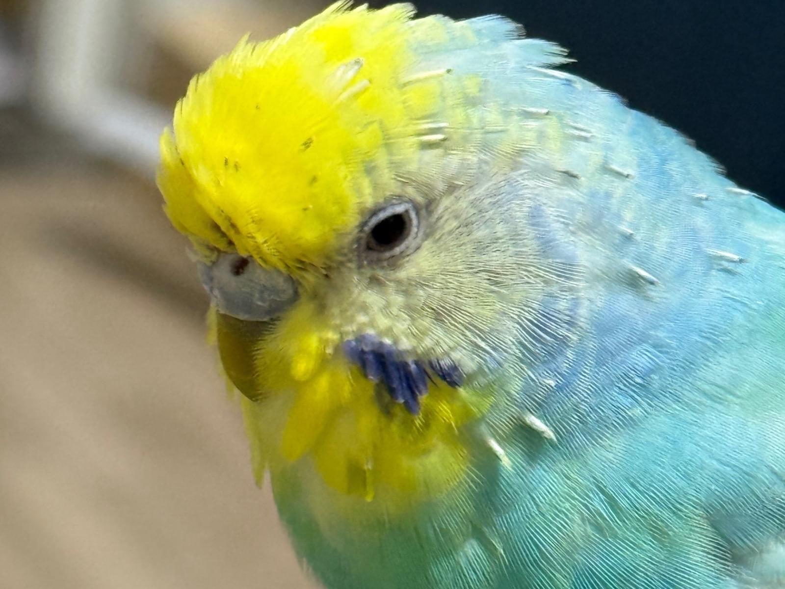 るかちゃん るかちゃん