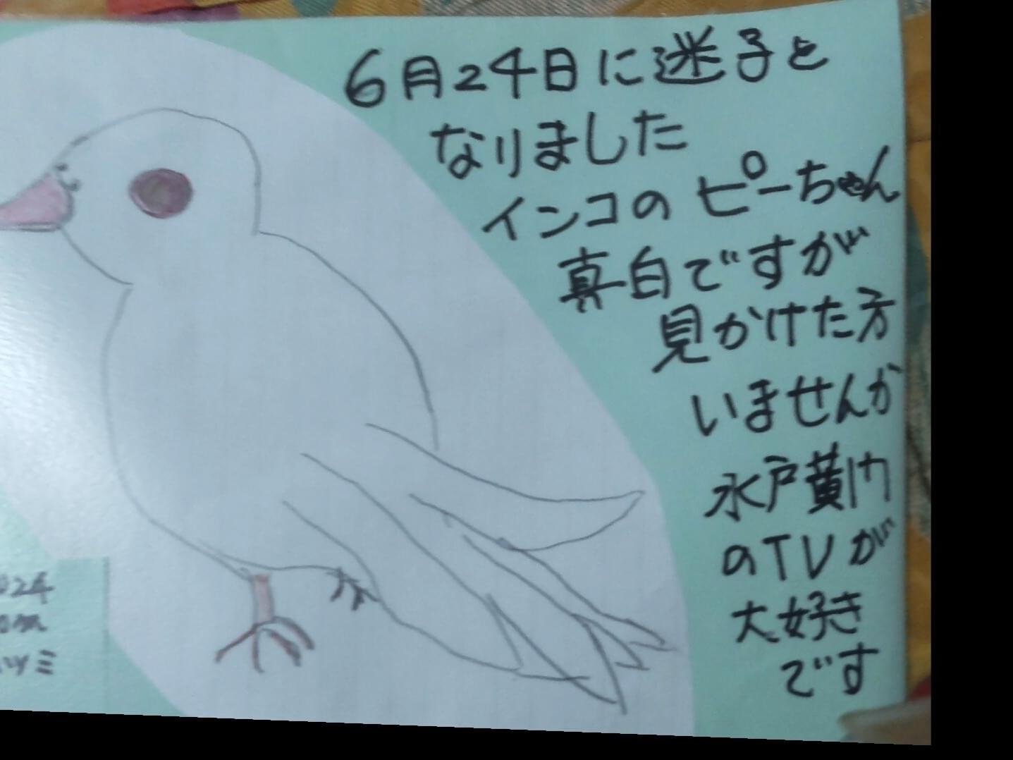ピーちゃん ピーちゃん