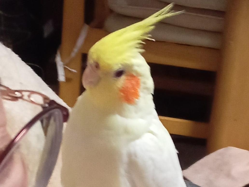 エルちゃん エルちゃん