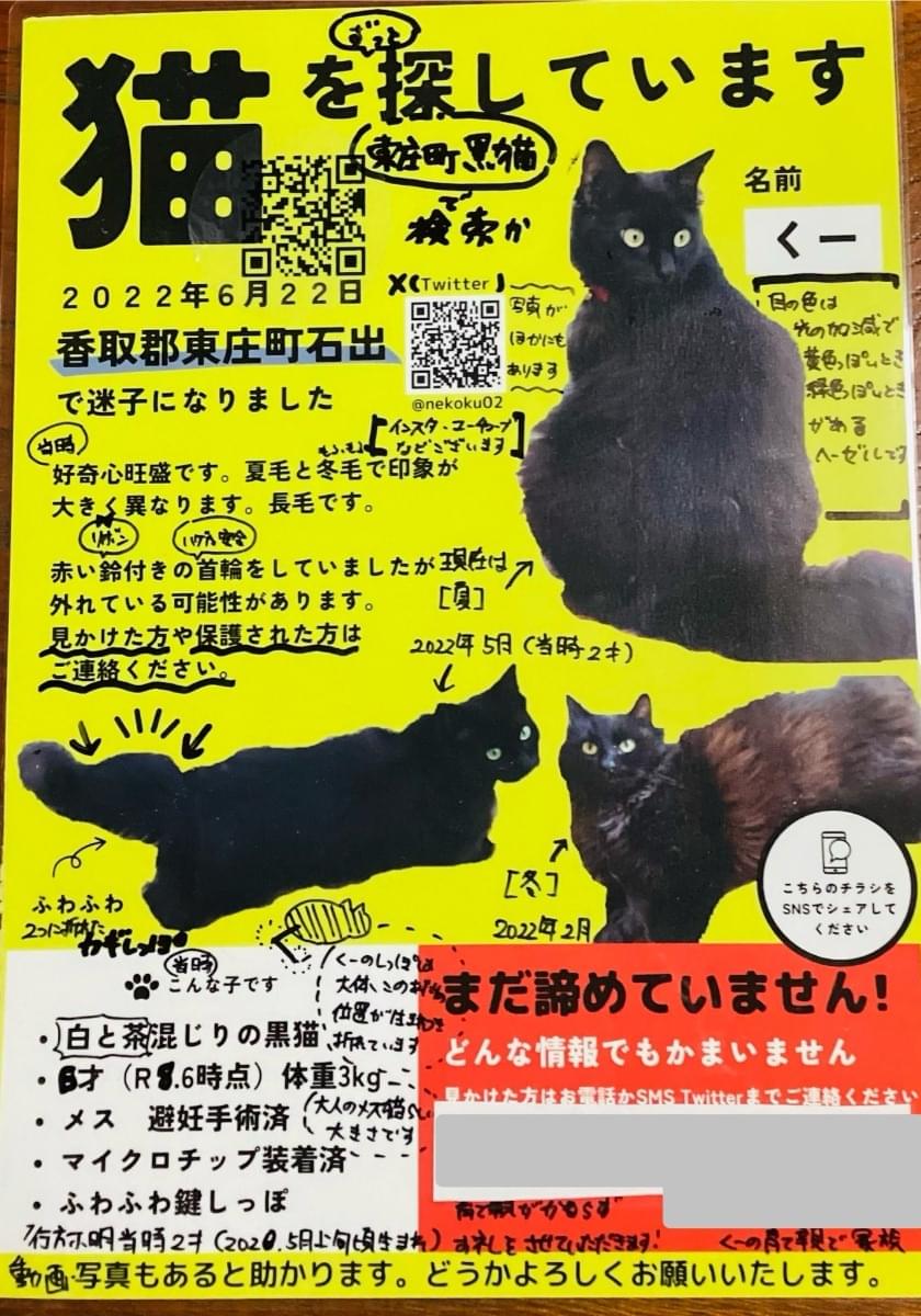 特徴的な鍵しっぽ。長毛の黒猫メスを探しています!【千葉県香取郡東庄町】