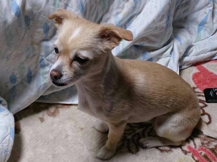 れおちゃん れおちゃん