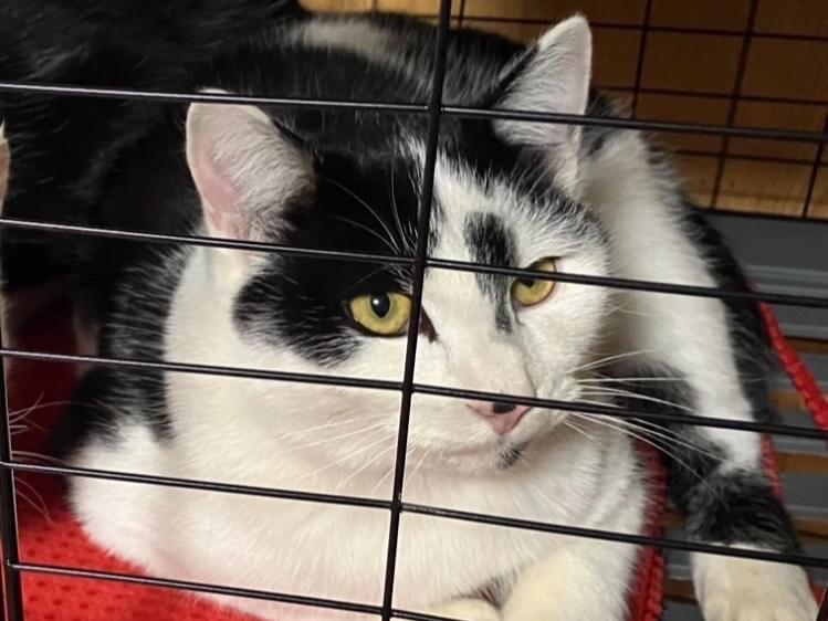 ハイミーちゃん