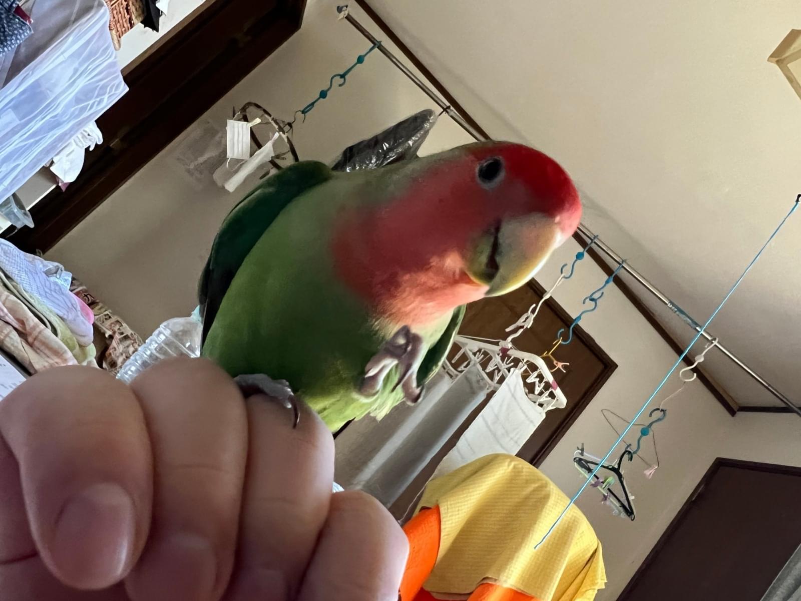 ちーちゃん