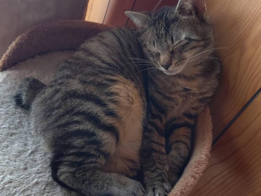 こはくちゃん こはくちゃん