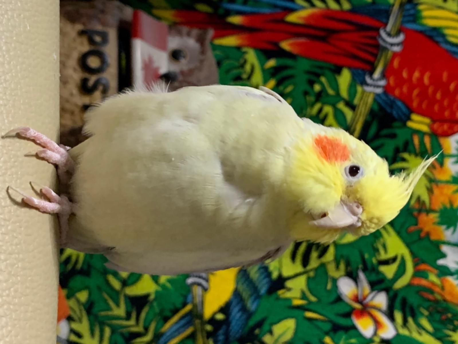 たぁ坊ちゃん たぁ坊ちゃん