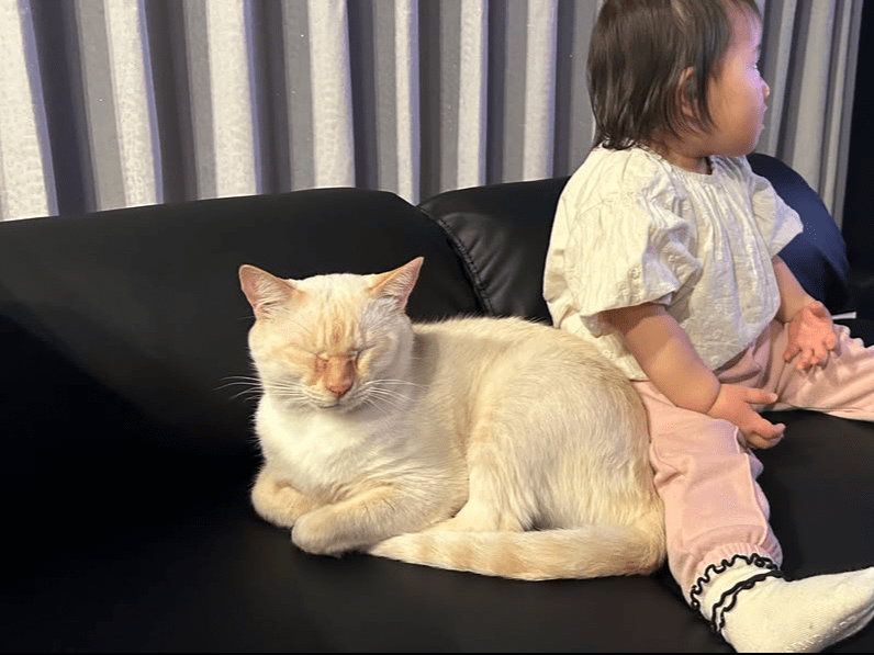 うたちゃん