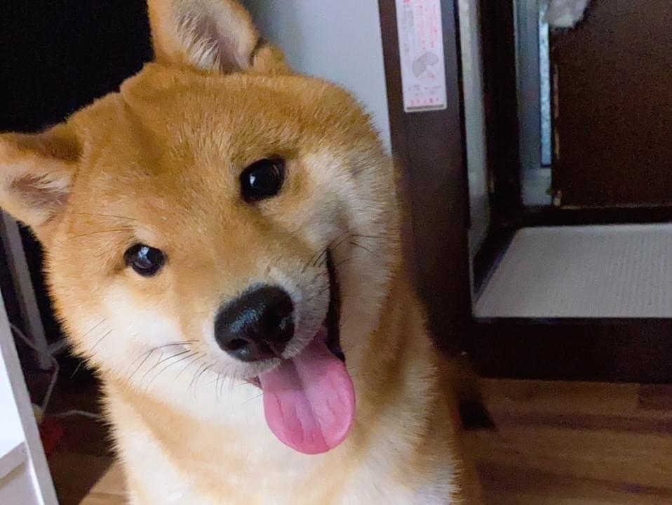 丸ちゃん 丸ちゃん