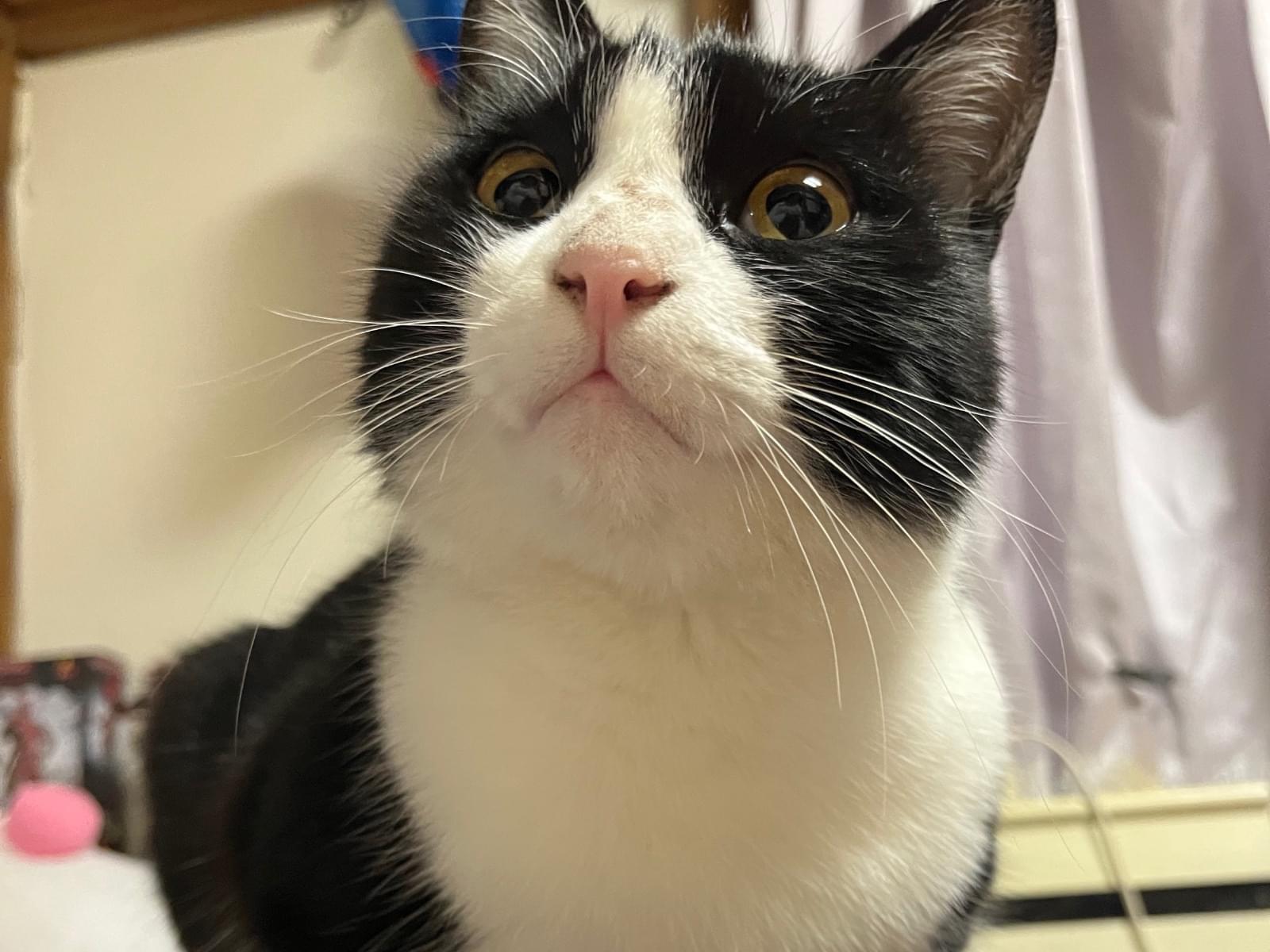 てぃるちゃん てぃるちゃん