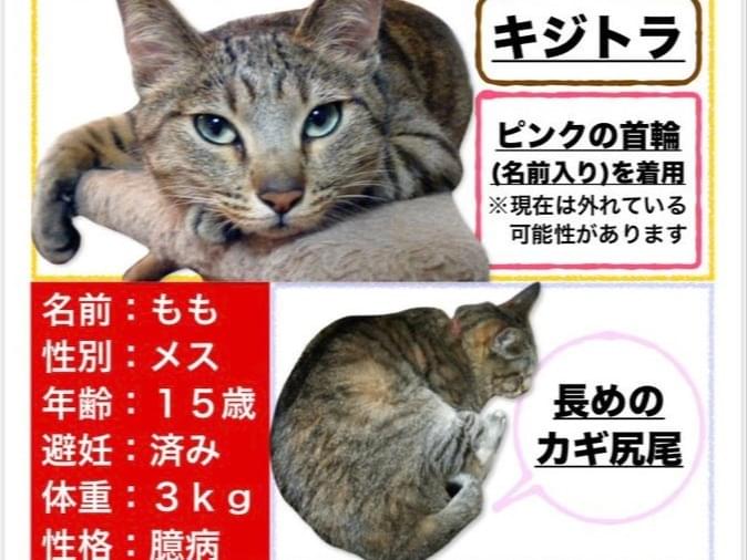 モモちゃん モモちゃん