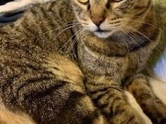 ウィリーちゃん ウィリーちゃん