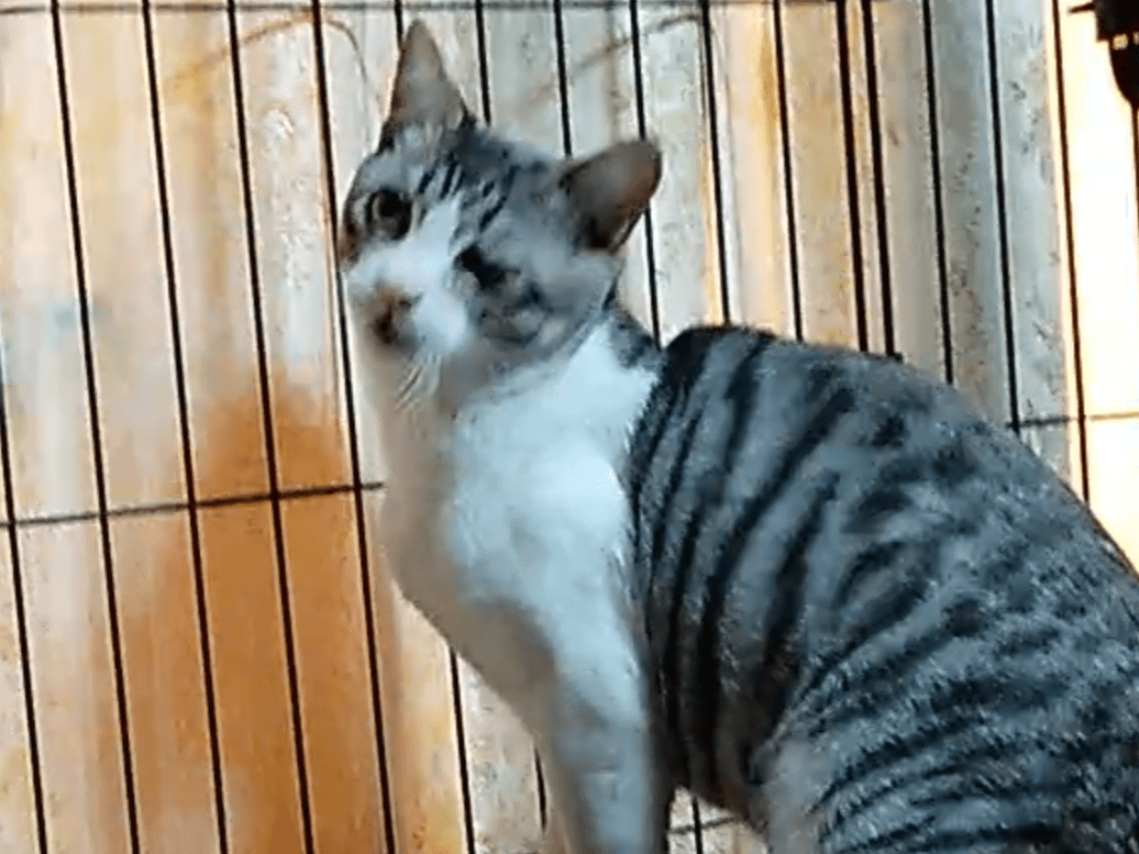 アカちゃん アカちゃん