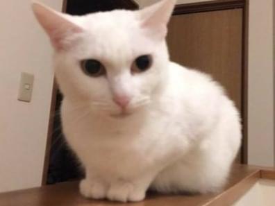 もぉちゃん もぉちゃん
