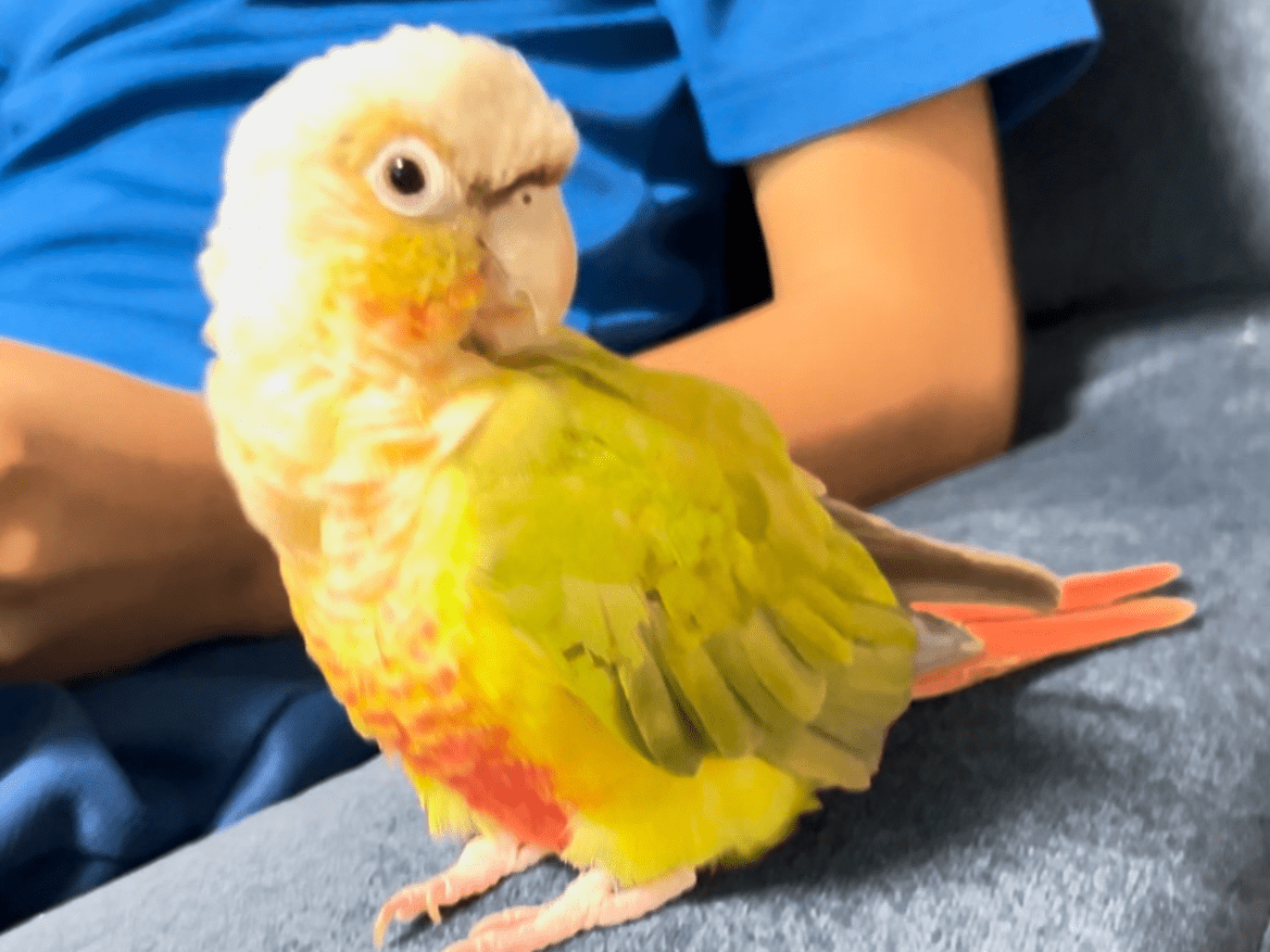クーちゃん クーちゃん