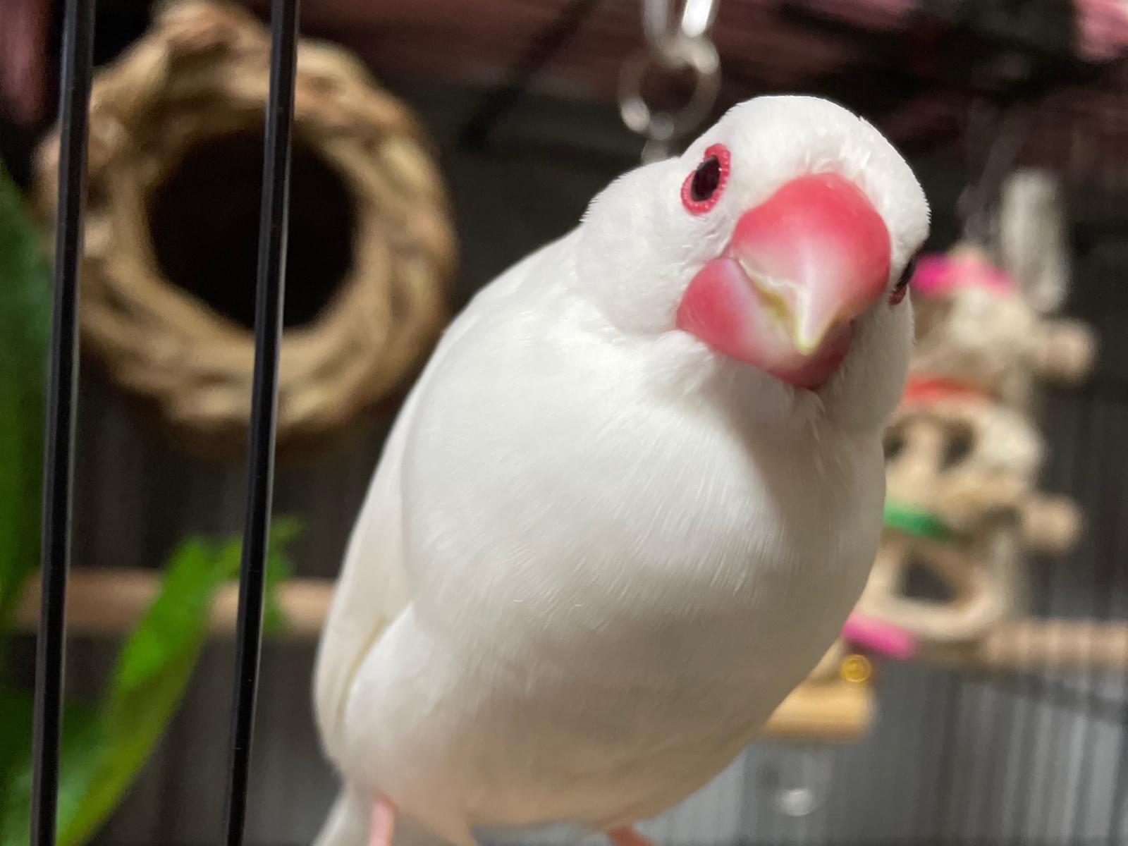 専務ちゃん 専務ちゃん