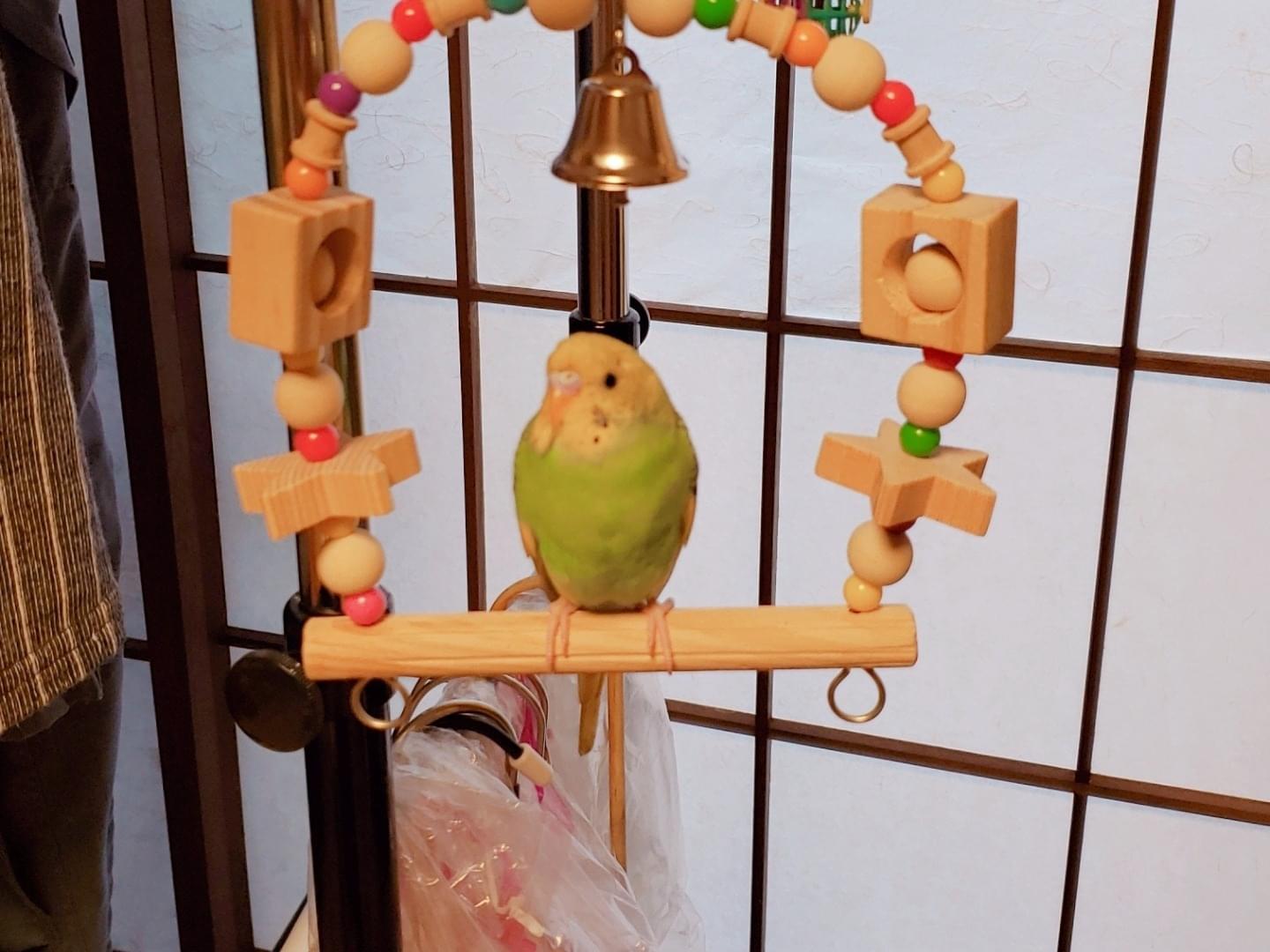ちいたろうちゃん ちいたろうちゃん