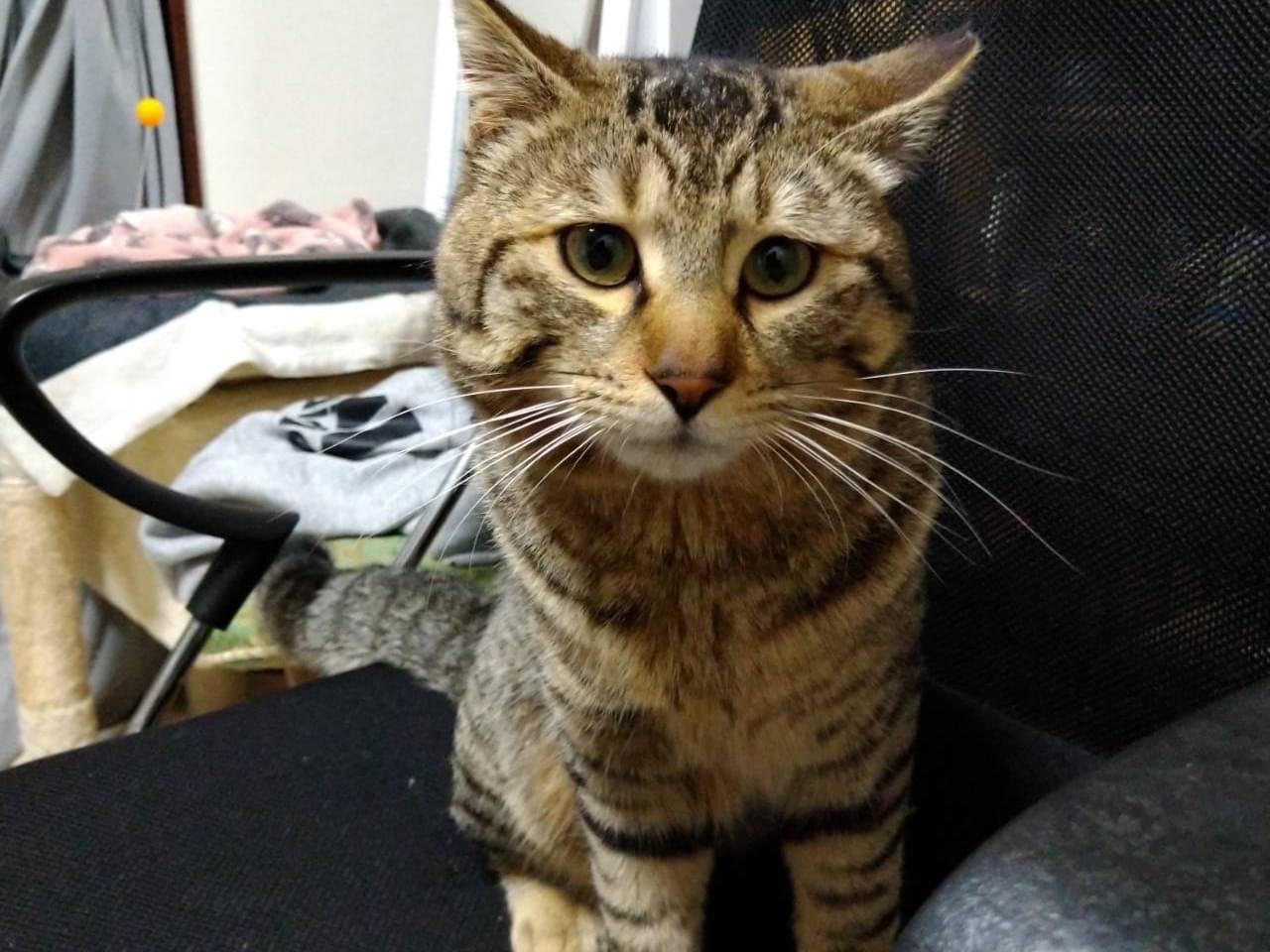 ポコちゃん ポコちゃん