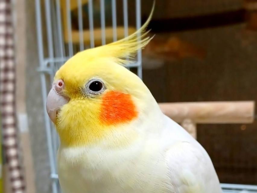 こうちゃん こうちゃん