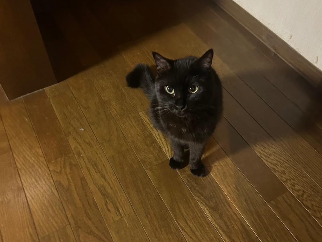 ハルちゃん ハルちゃん