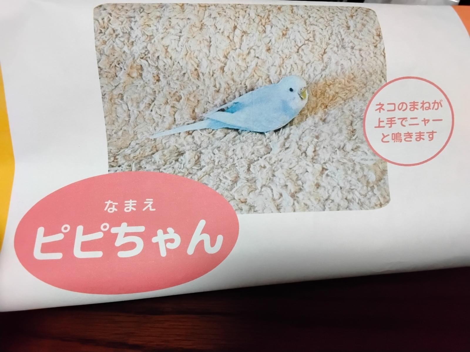ピピちゃん ピピちゃん