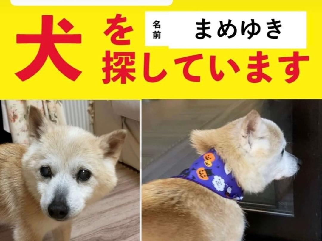 まめゆきちゃん まめゆきちゃん