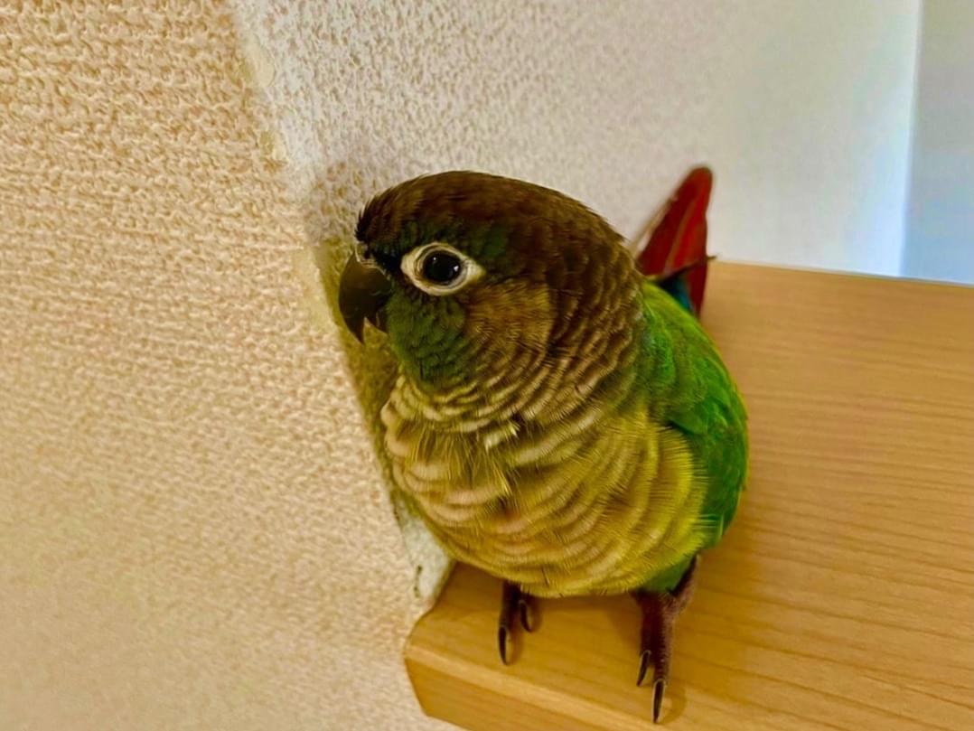 むーちゃん むーちゃん