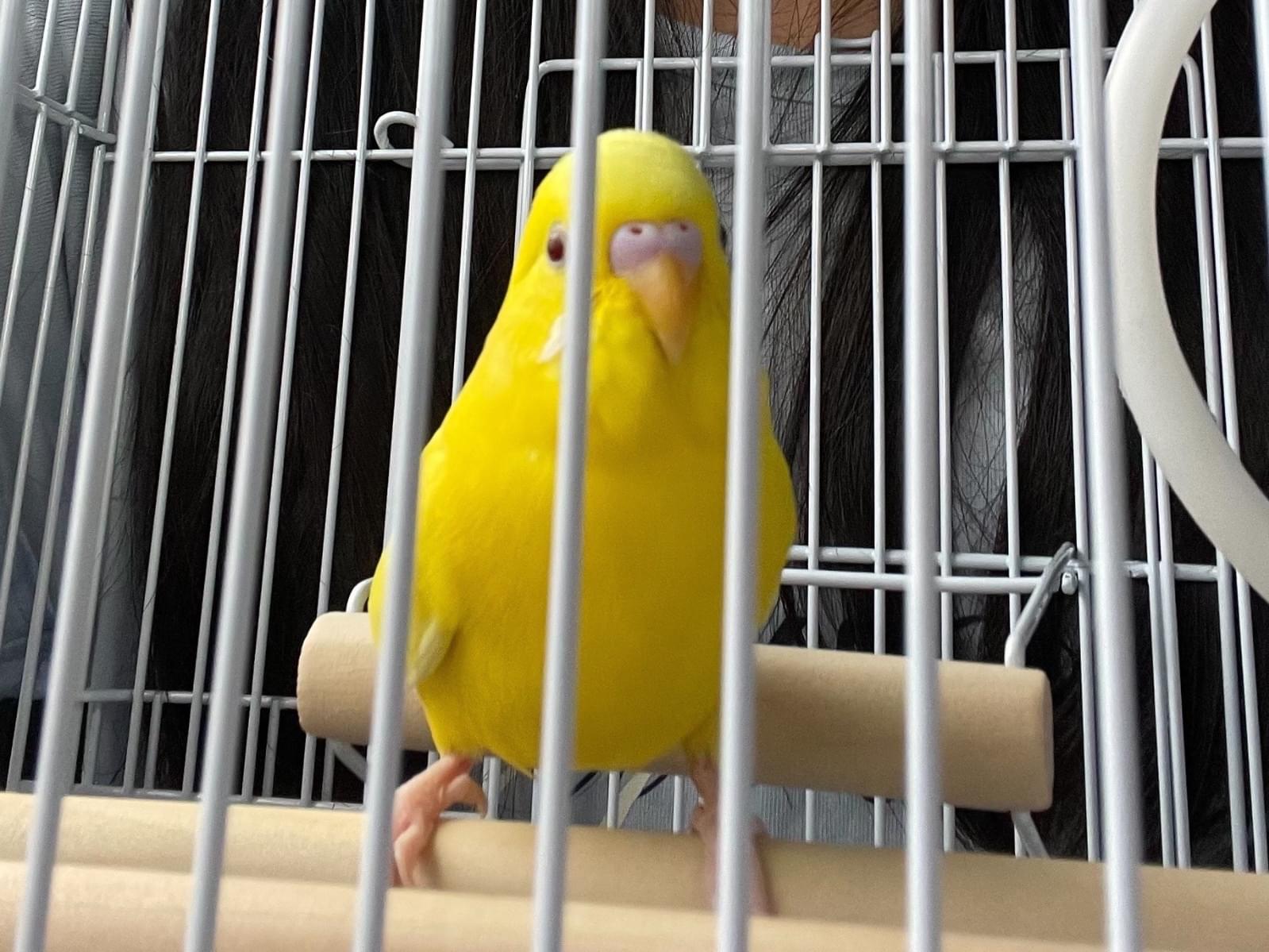 コウちゃん コウちゃん