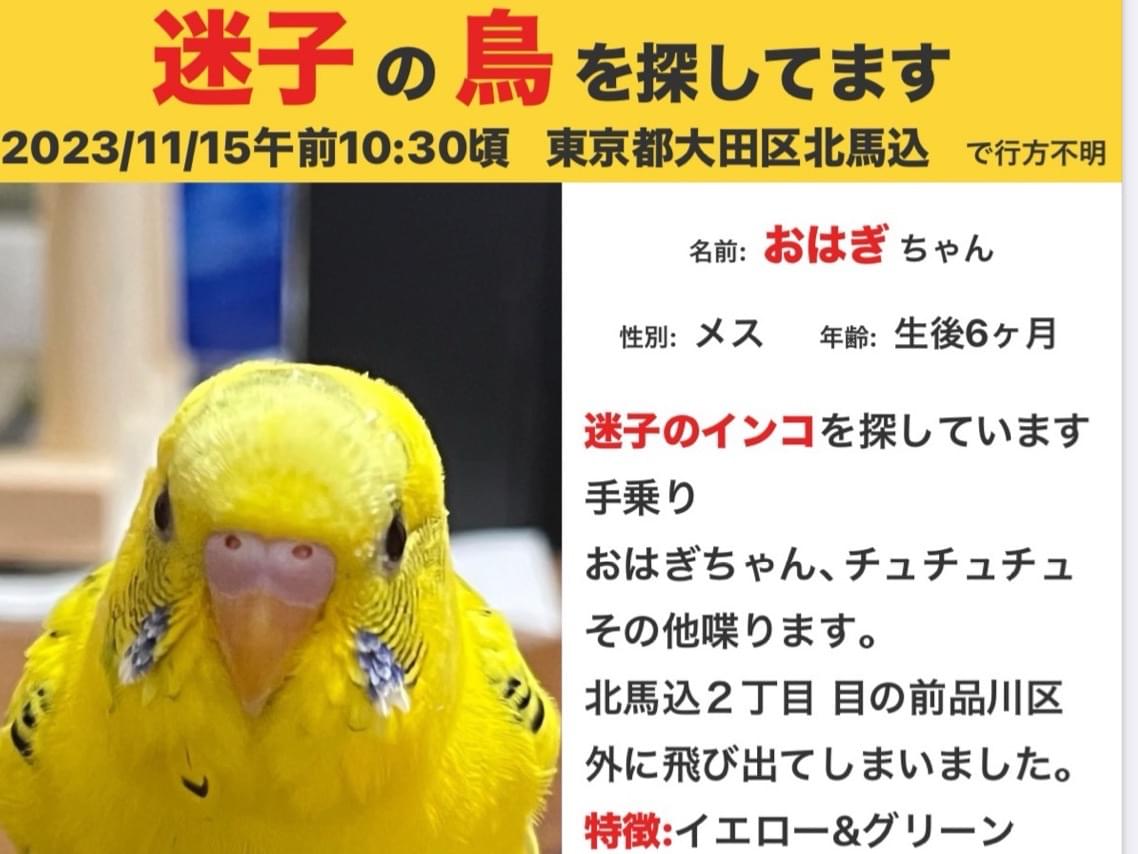 おはぎちゃん おはぎちゃん