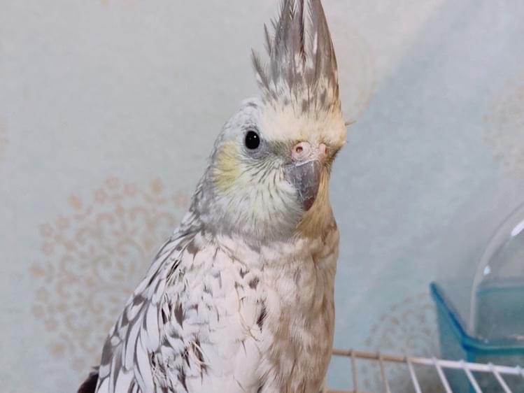 うめちゃん うめちゃん