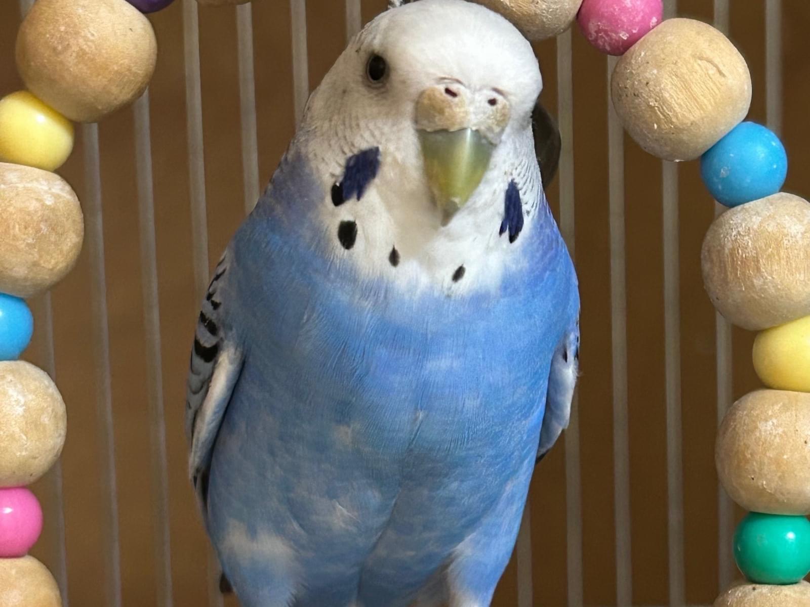 まりんちゃん まりんちゃん