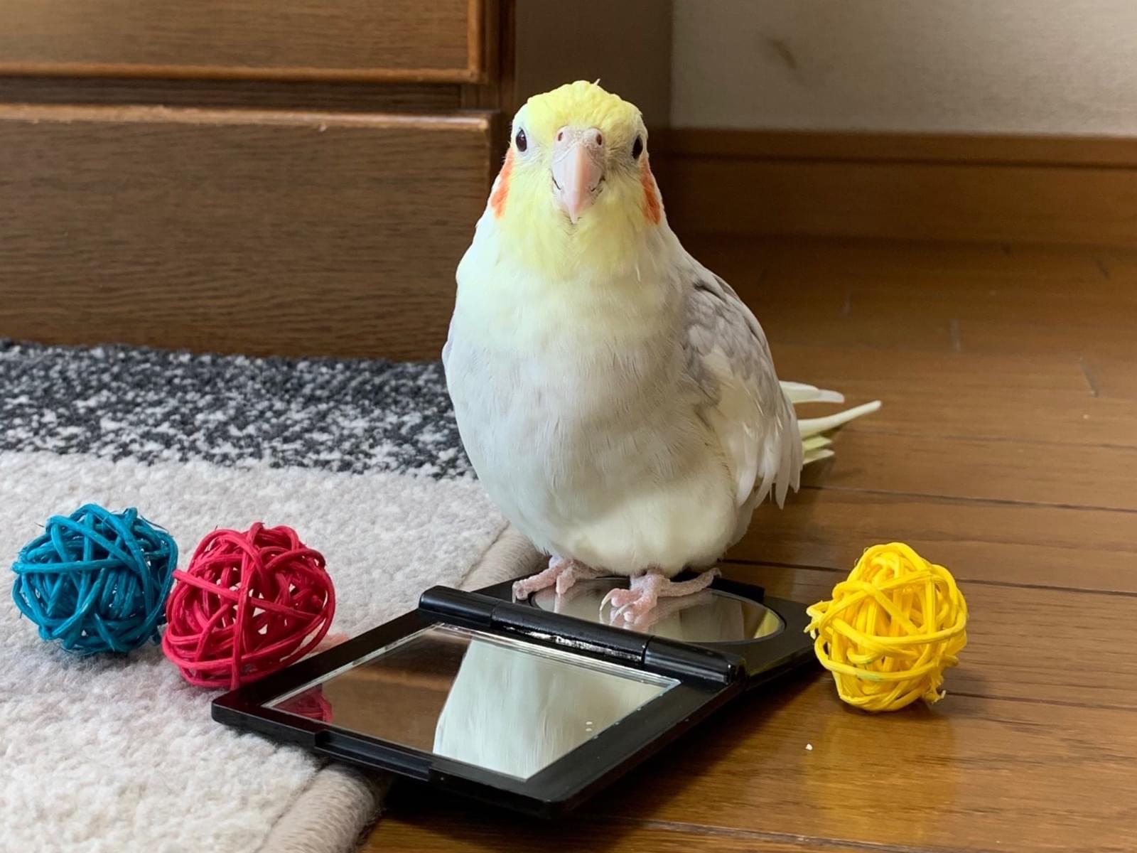 キキちゃん キキちゃん
