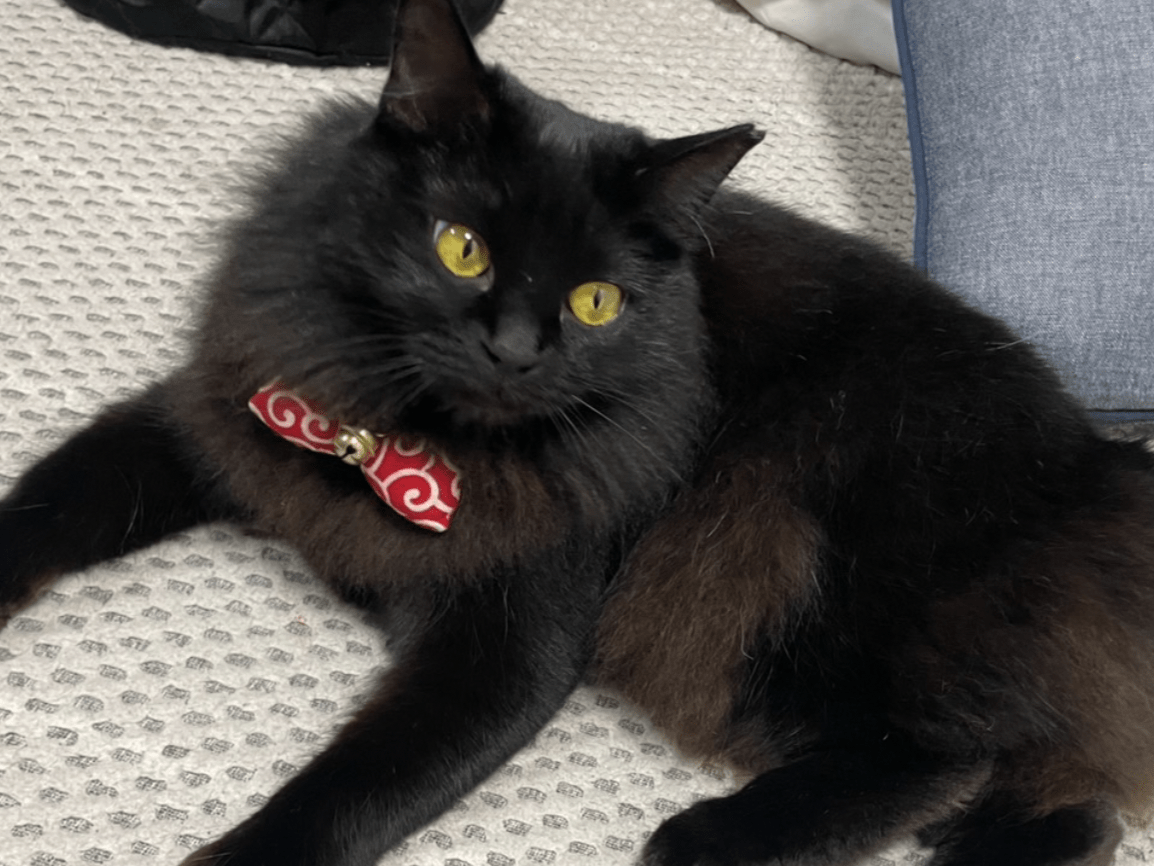 ナナちゃん ナナちゃん