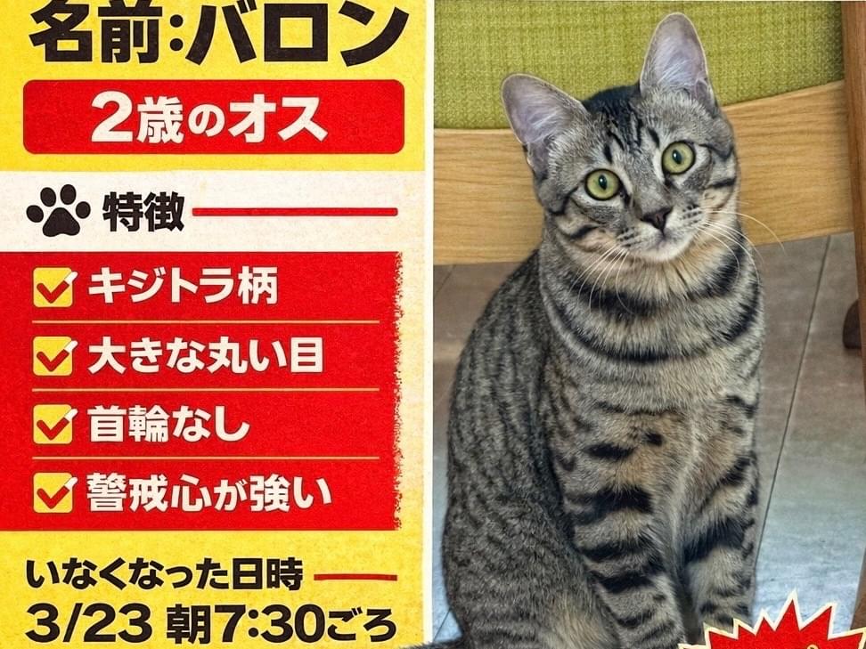 バロンちゃん バロンちゃん