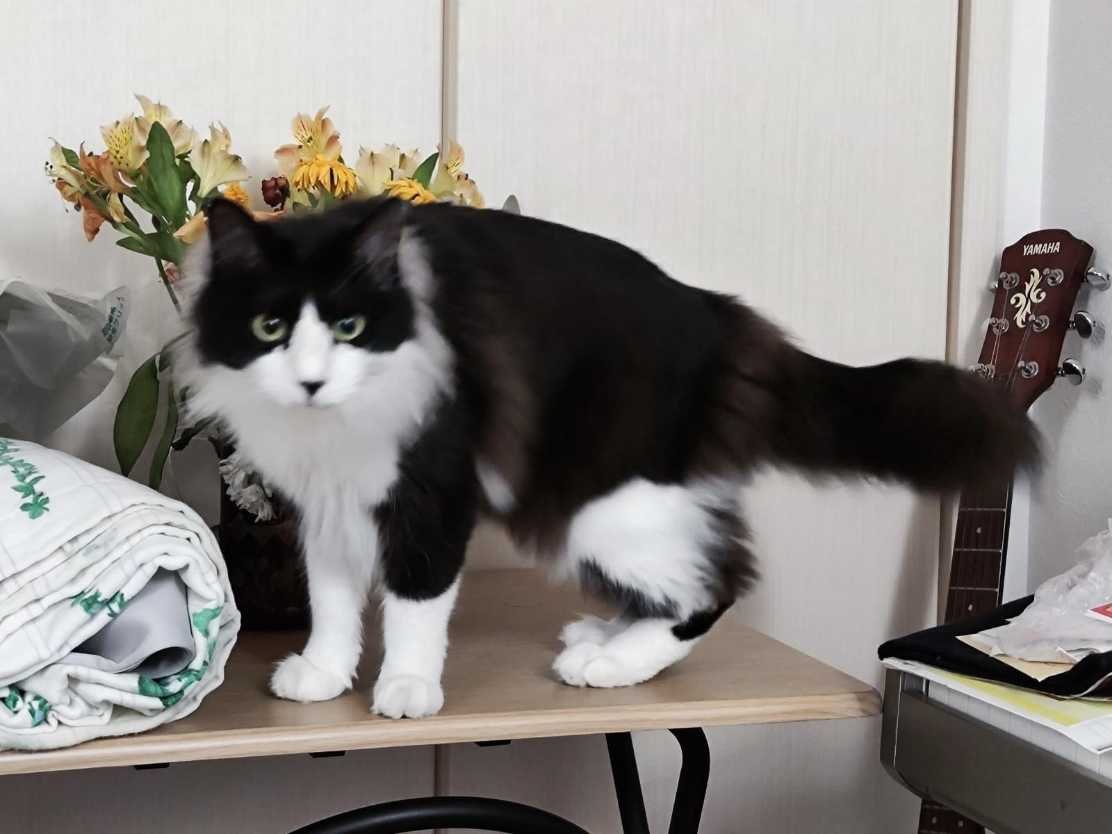 ナギちゃん ナギちゃん