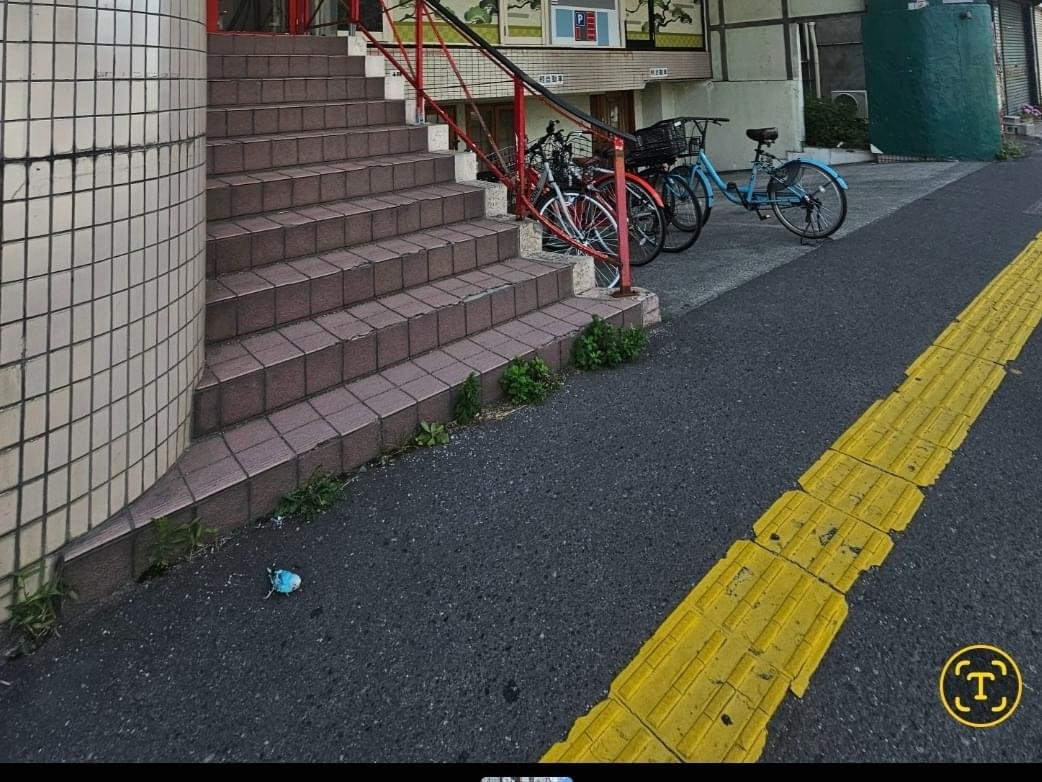 目撃された鳥 目撃された鳥