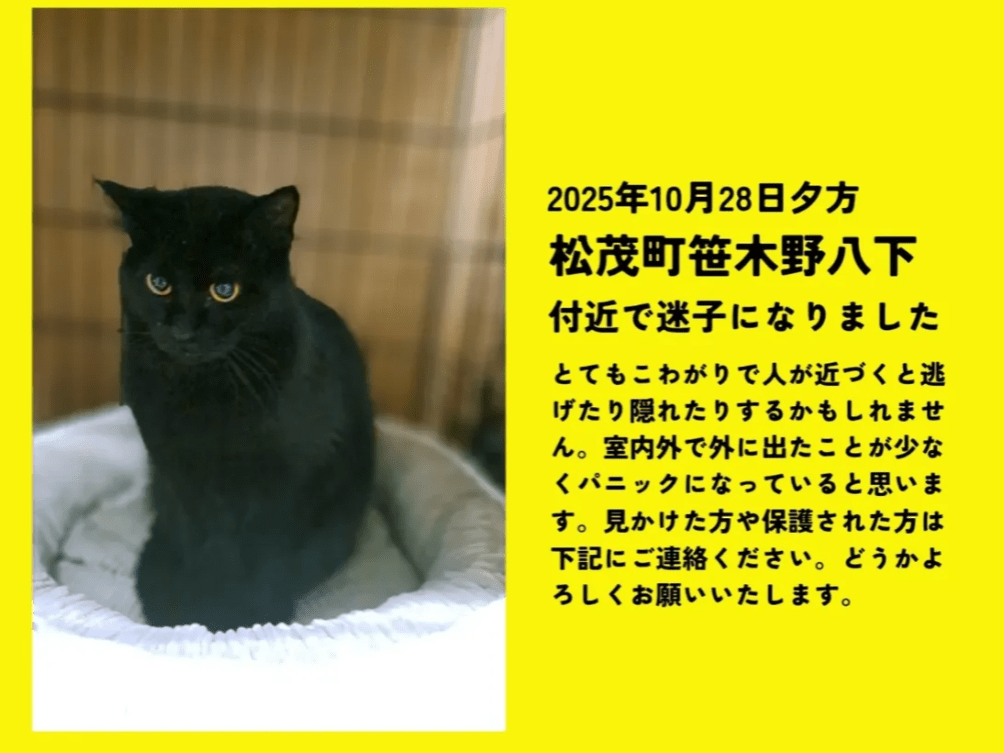 くろすけちゃん