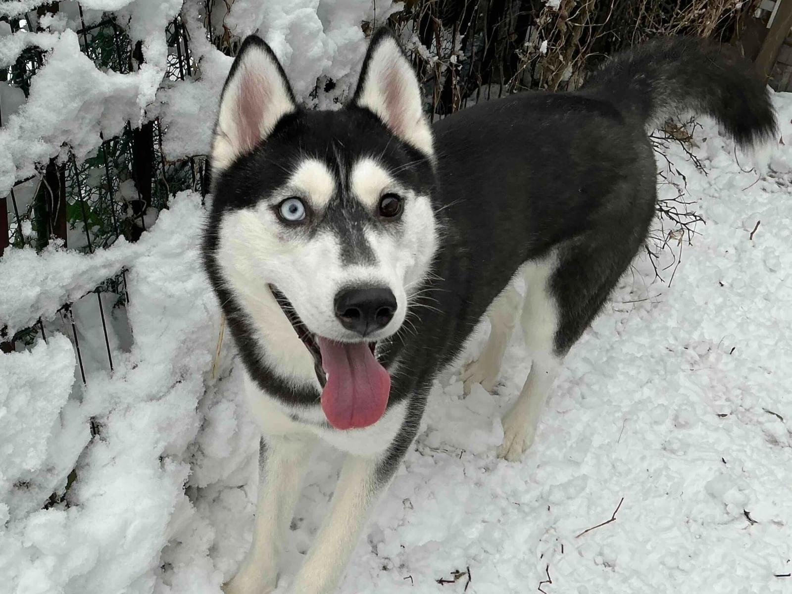 アルティちゃん