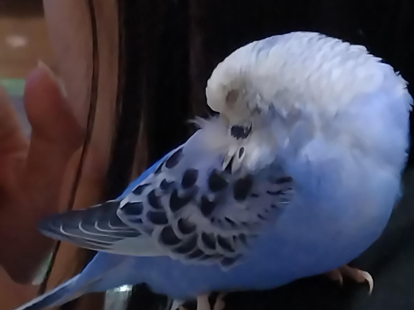 うめちゃん うめちゃん