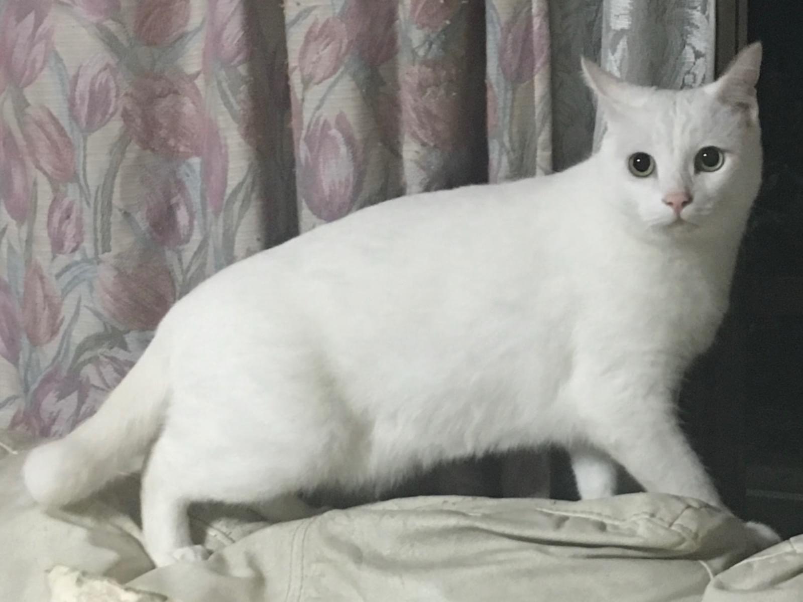 レオちゃん レオちゃん