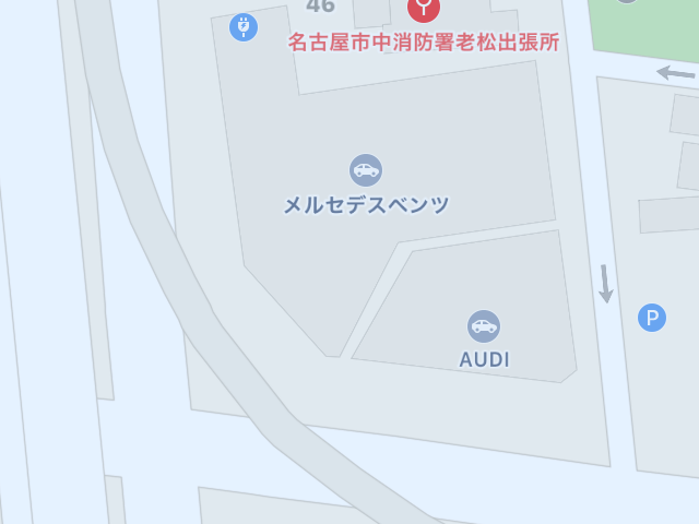 目撃された鳥 目撃された鳥