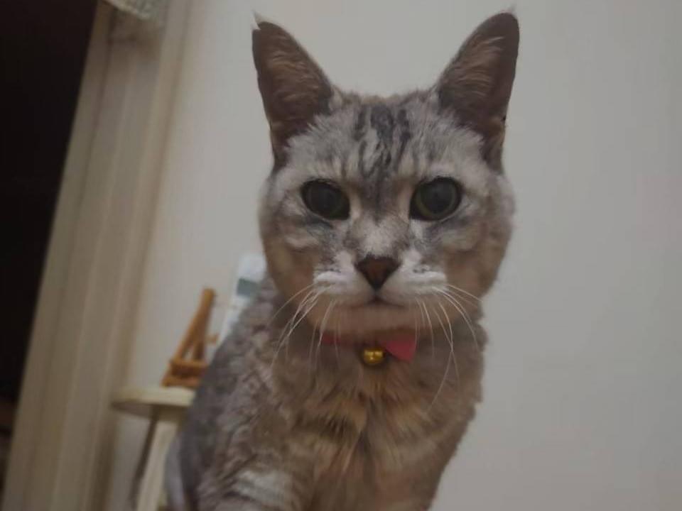 なっちゃん なっちゃん