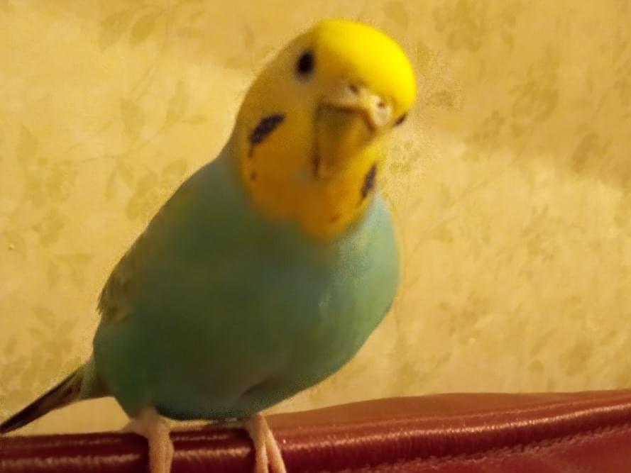 うみちゃん うみちゃん