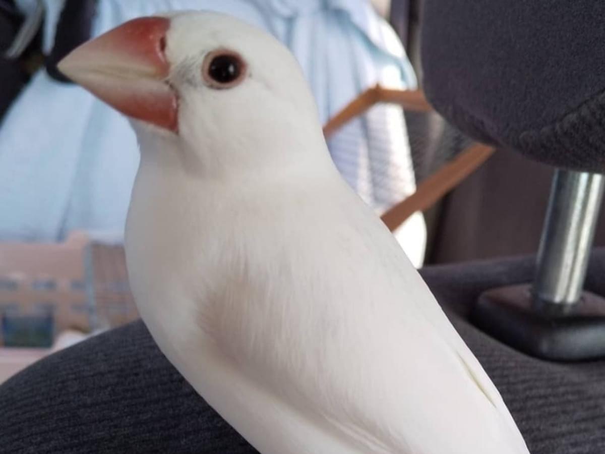ユキちゃん ユキちゃん