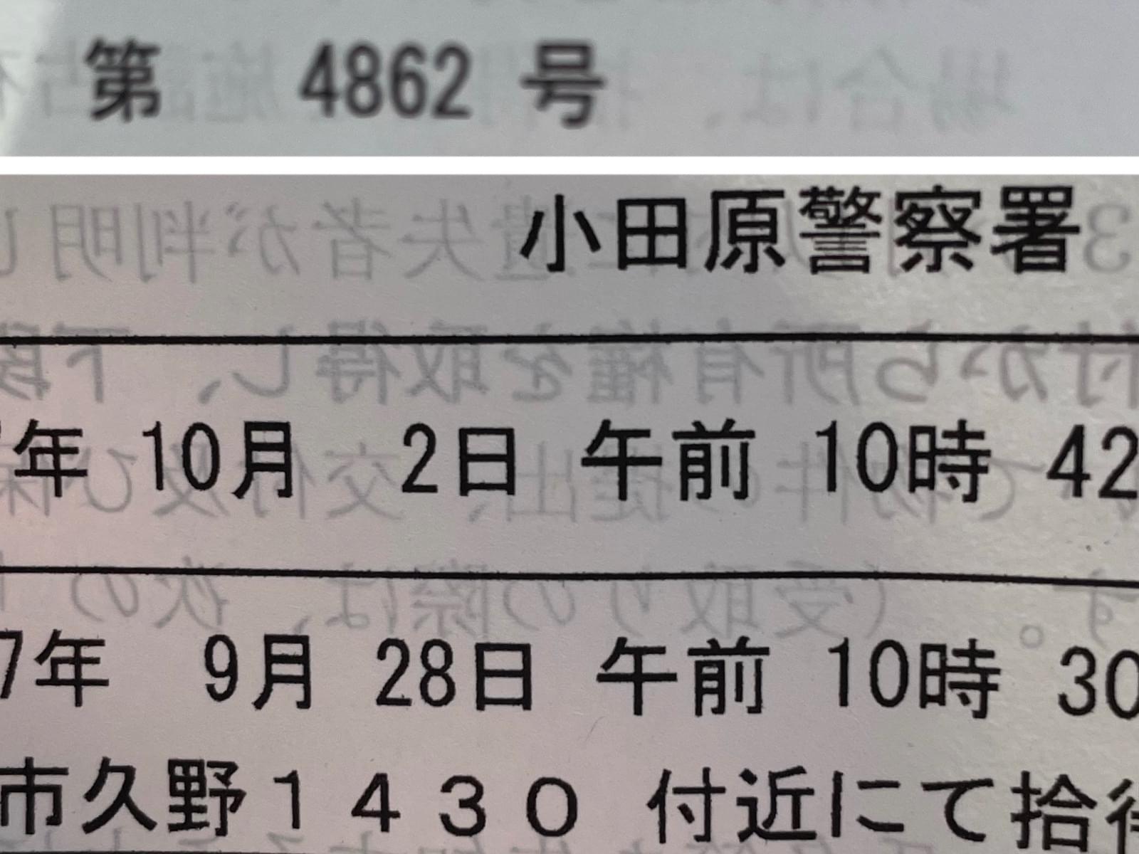 保護された鳥 保護された鳥
